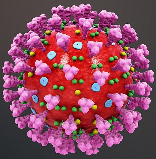 Virus